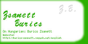 zsanett burics business card